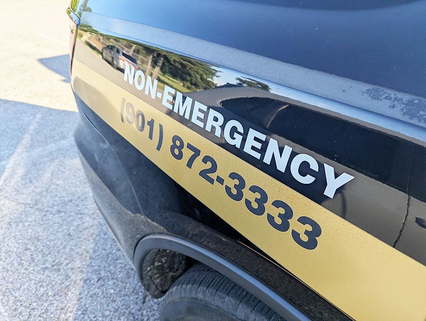 public safety